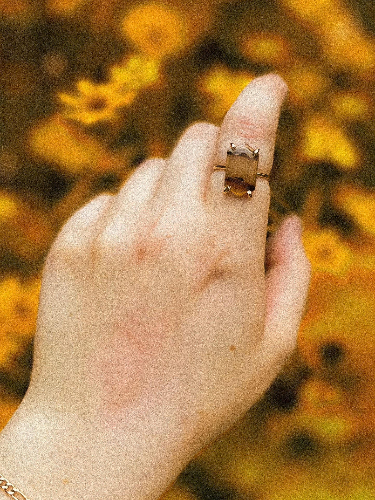 Montana ring
