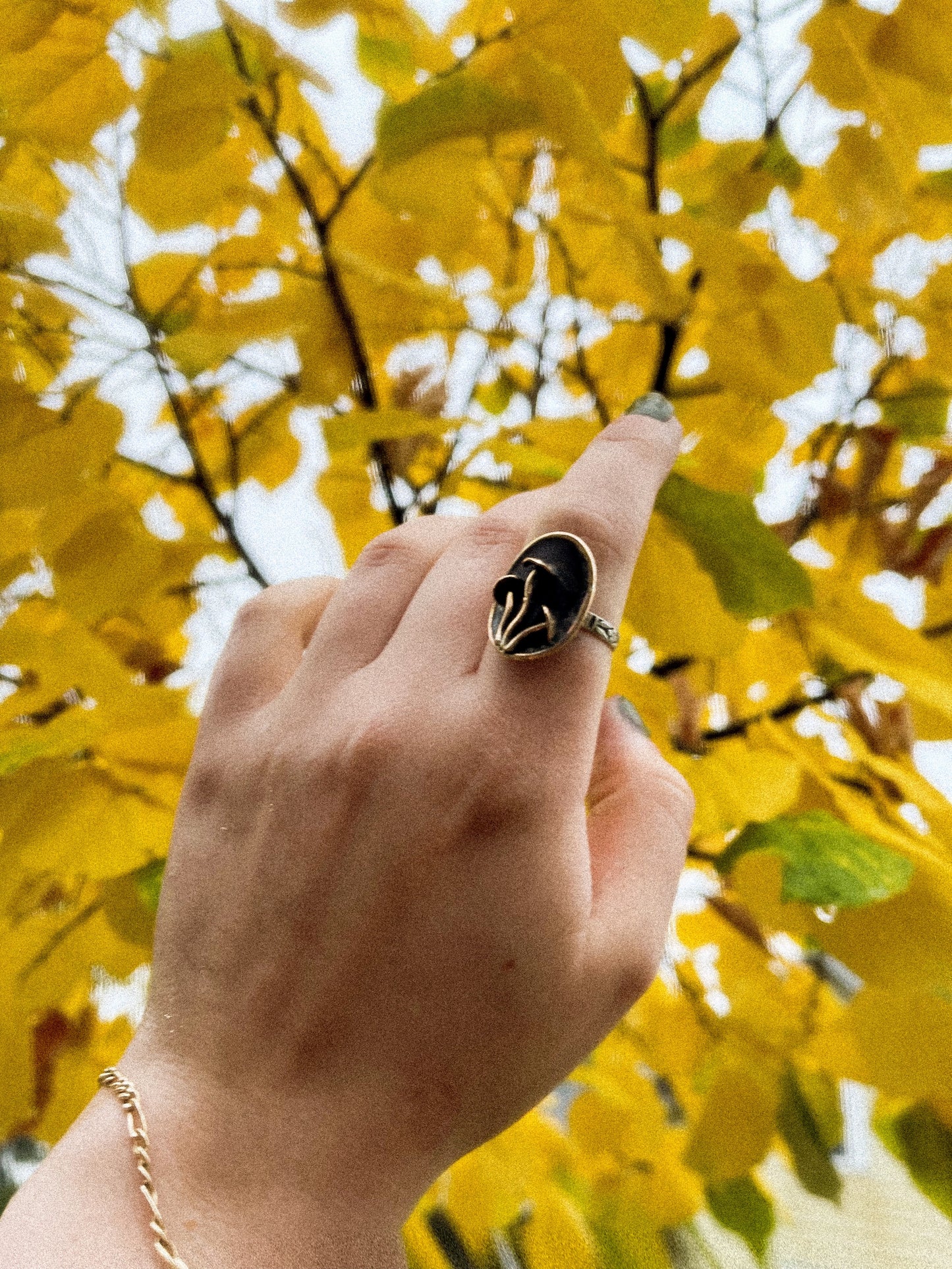 Faerie ring