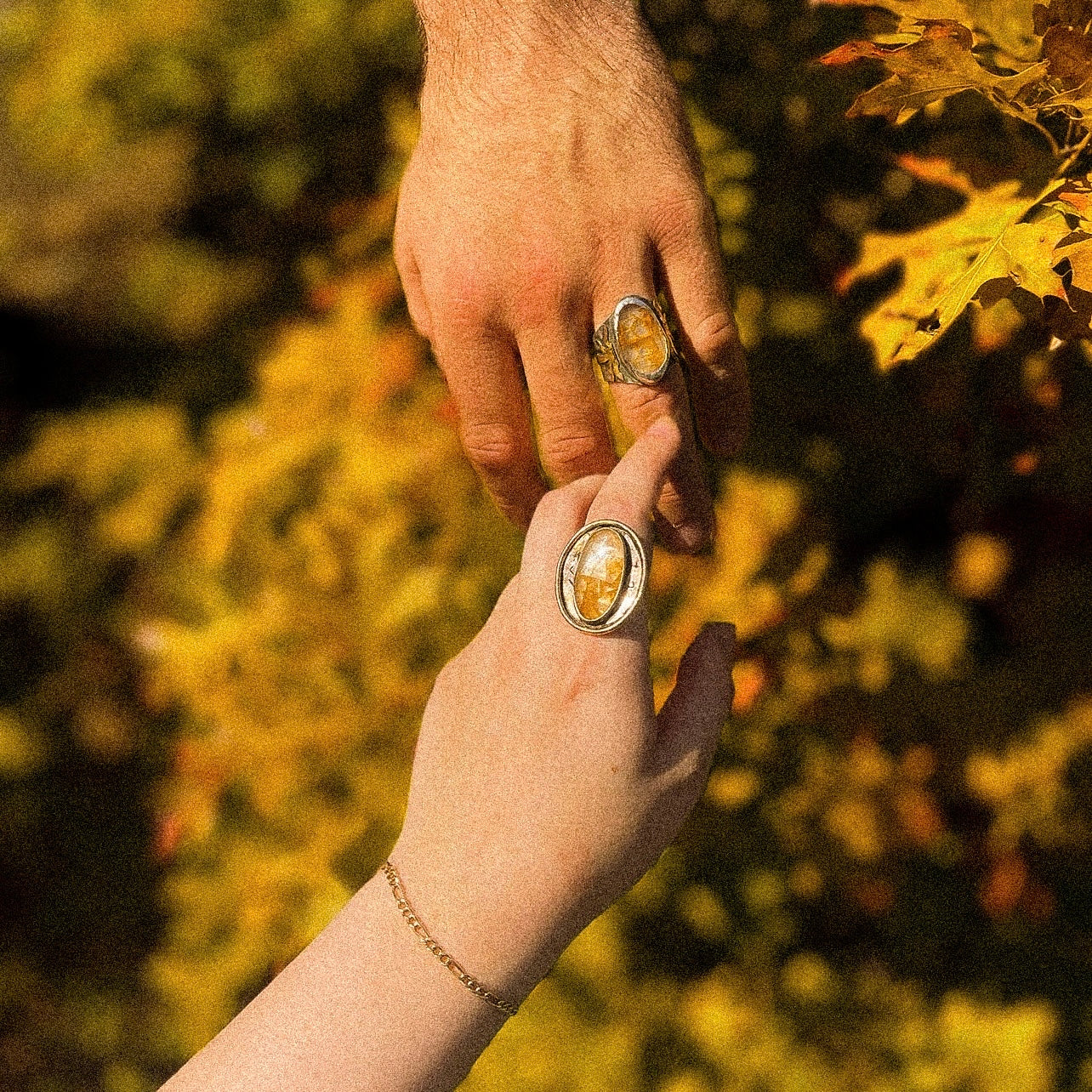 The lovers rings