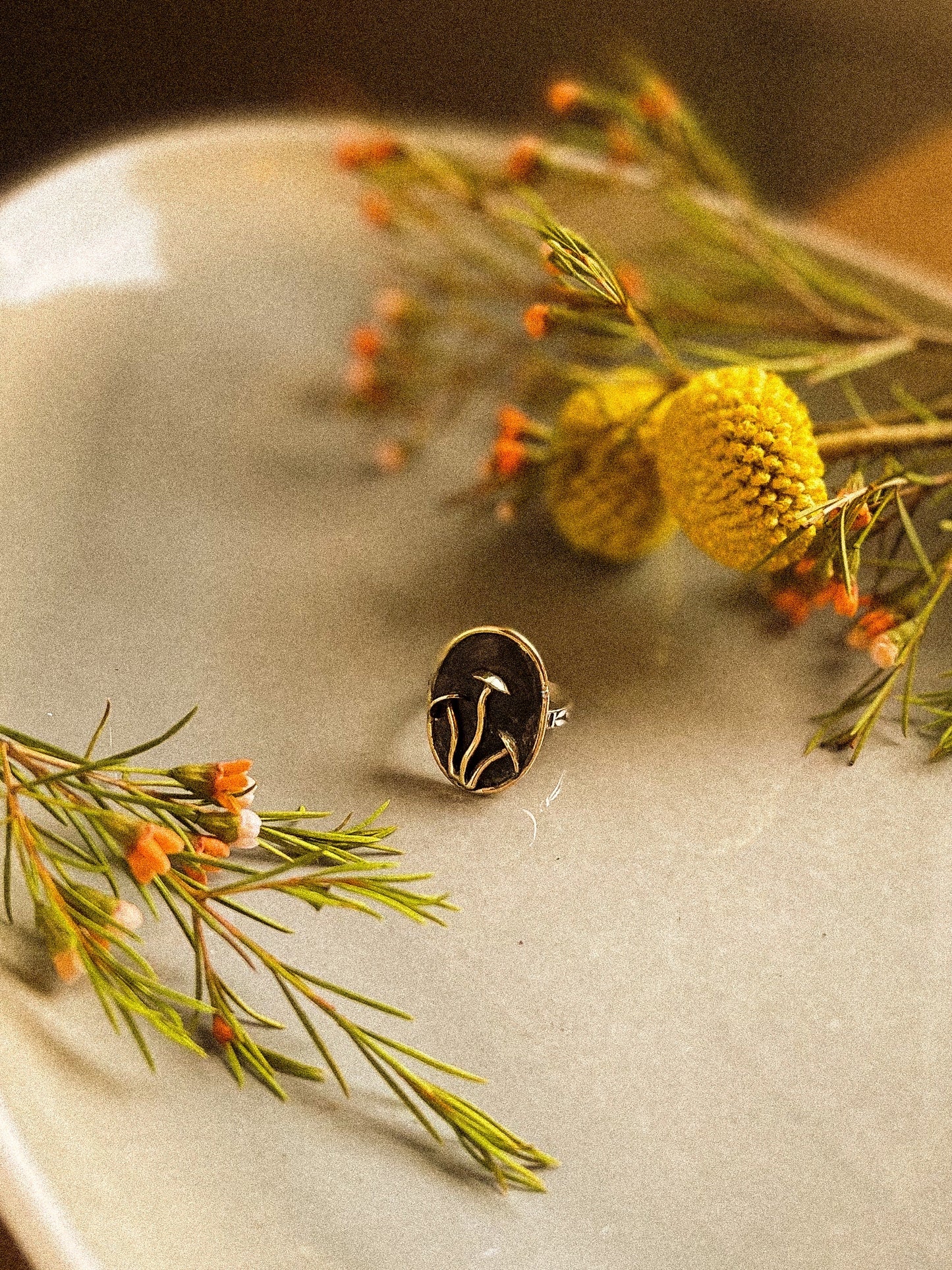 Faerie ring