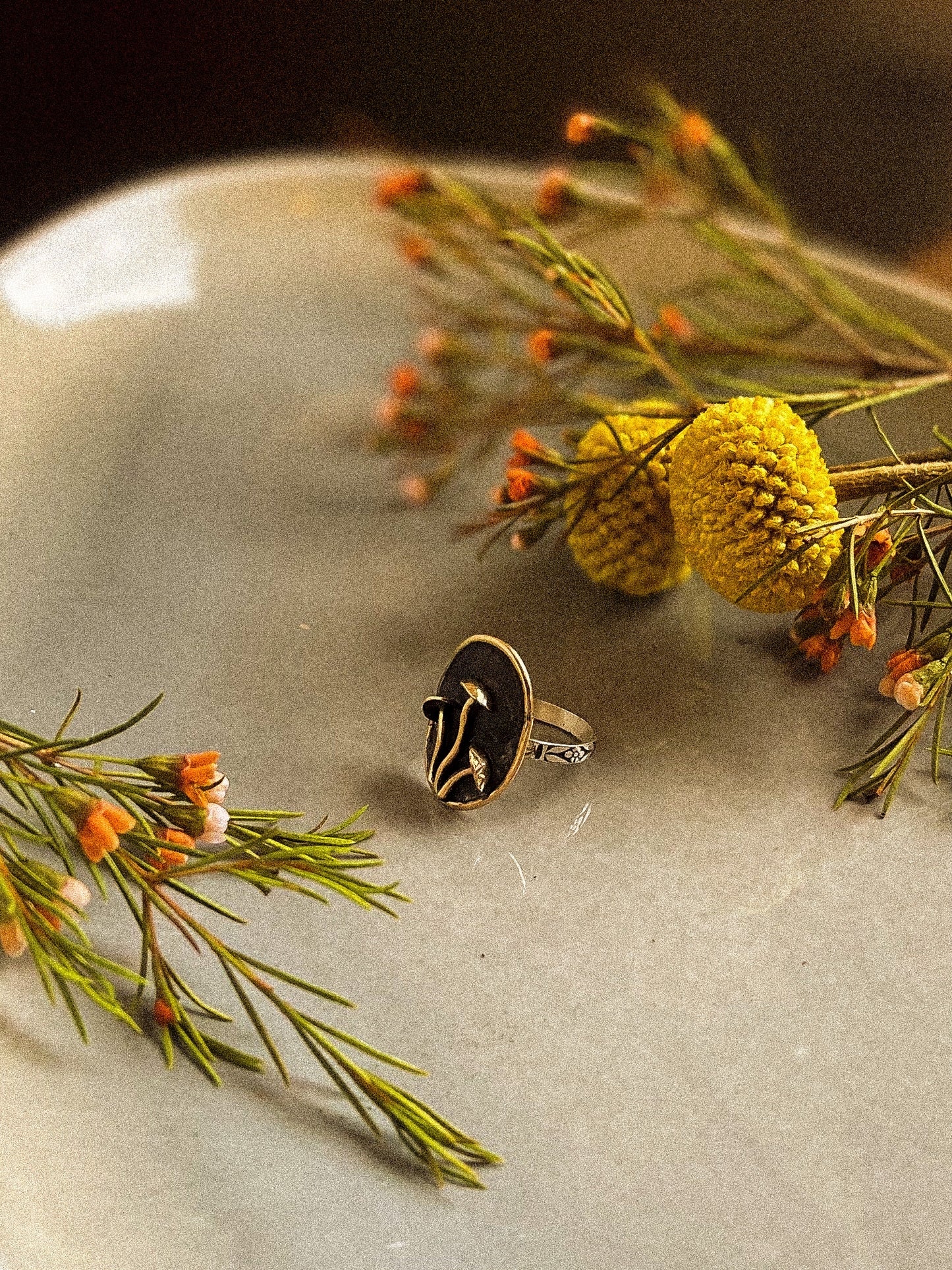 Faerie ring