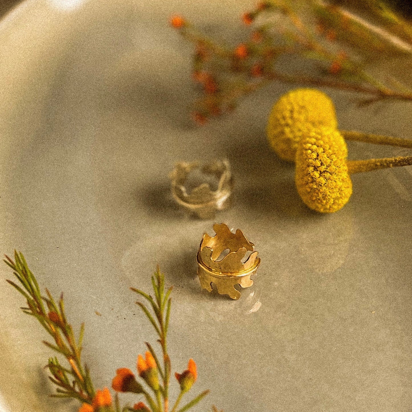 Poisoned oak ring