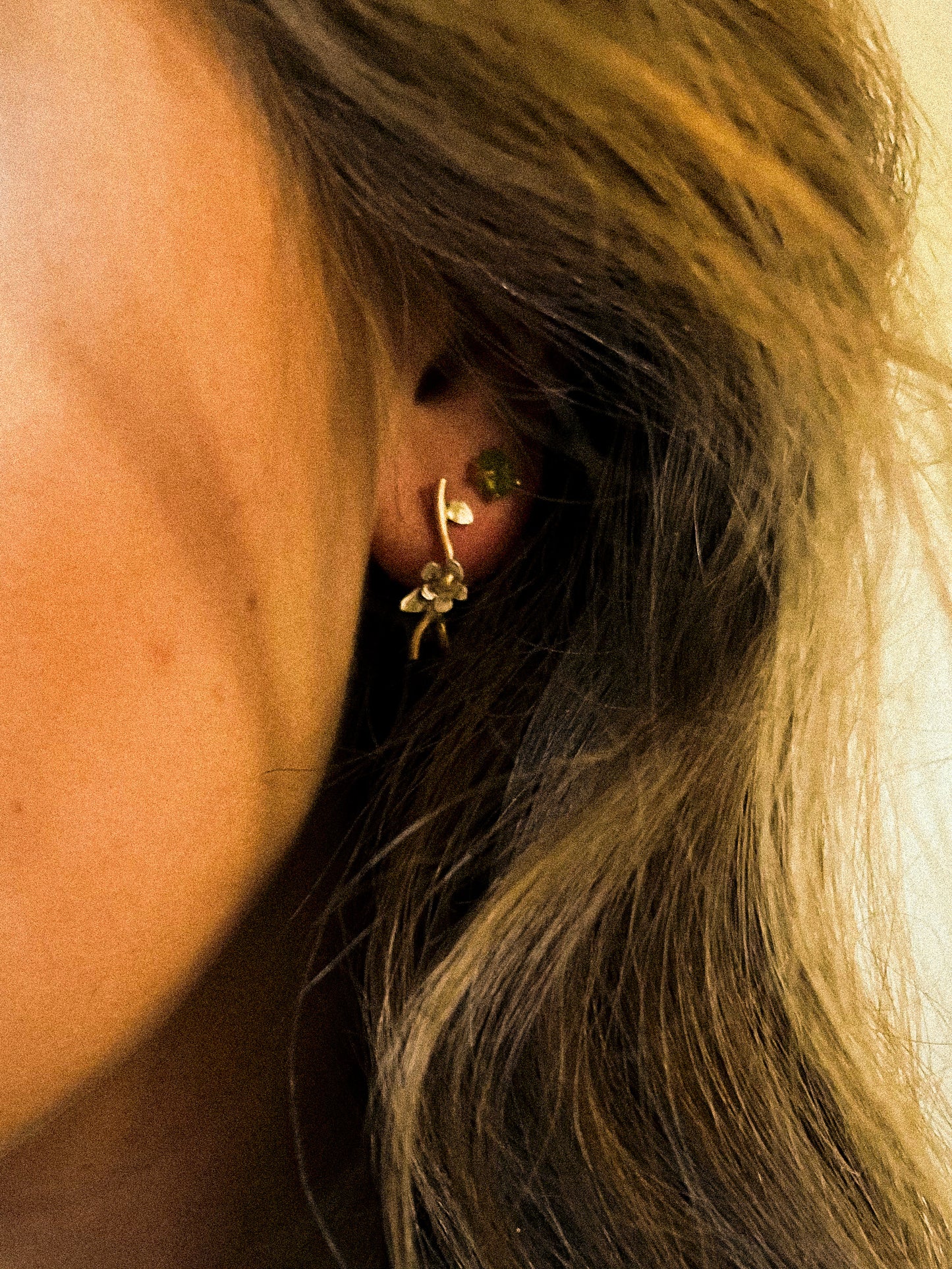 Tuolumne ear climber