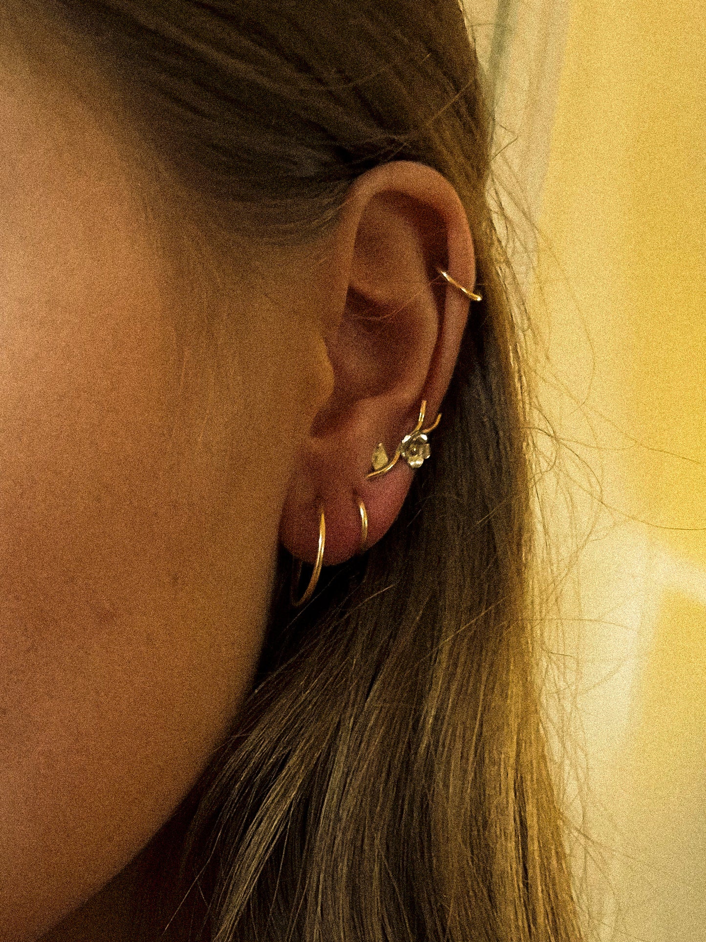 Tuolumne ear climber